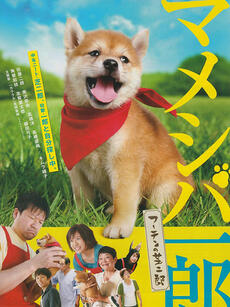 豆柴一郎 流浪的芝二郎