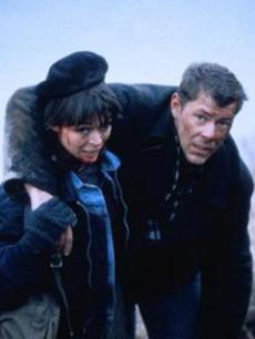 神秘的芯片(普通话)