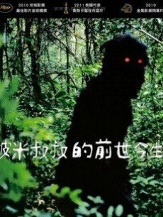 能召回前世的布米叔叔