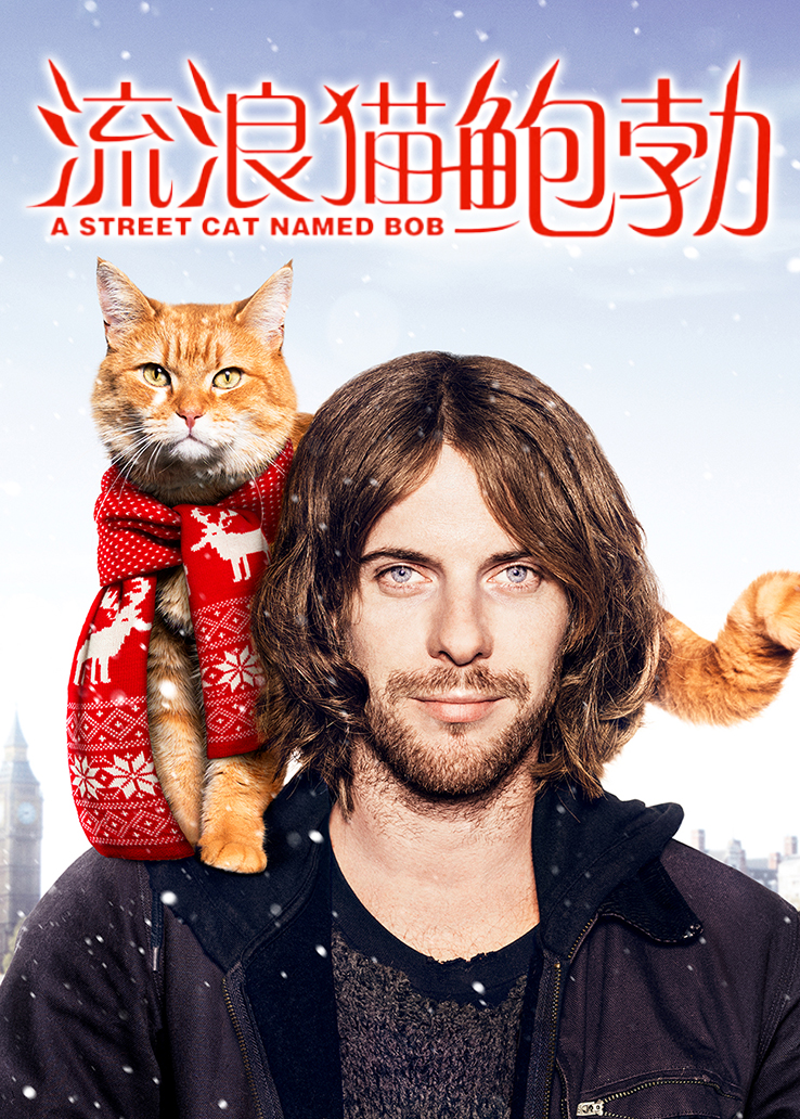 流浪猫鲍勃普通话版